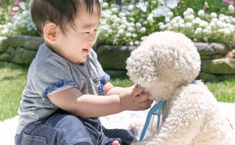 何とも言えない感動の気持ちがこみあげました♪メモリアルベア ベーシック(旧モデル)♪