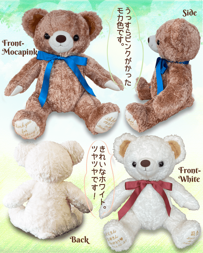 体重ベア「カリーナ」