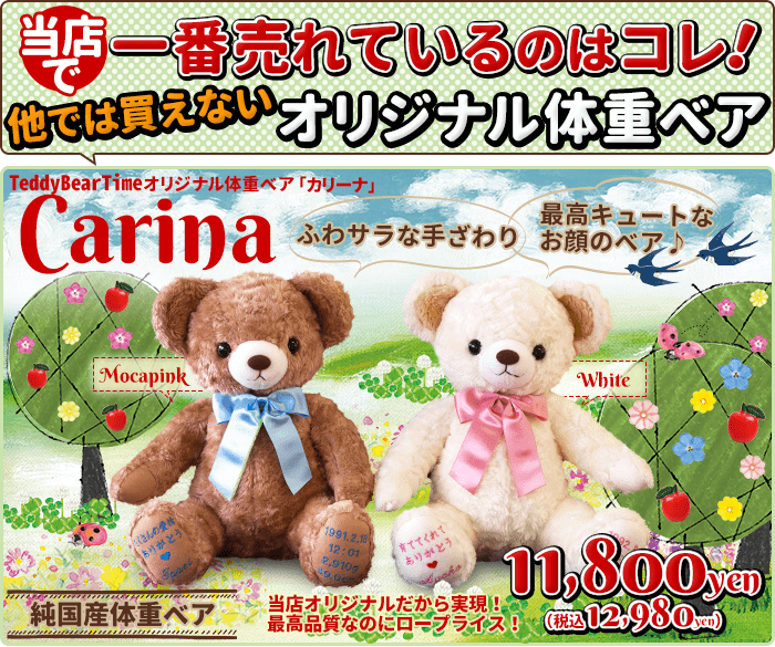 一番売れている！Carina（カリーナ）