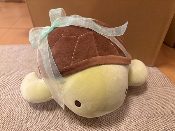 カメのウェイトドール