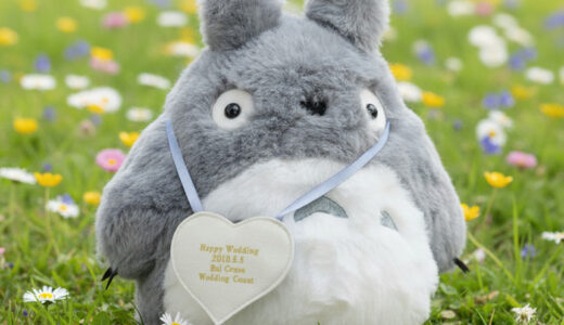 【大人気】トトロのウェイトドールは作れる？ジブリ好き必見！