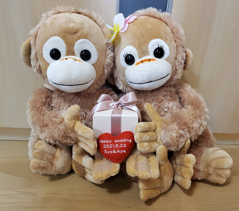 ベイビーココ＆ベイビーナツのウェイトドール