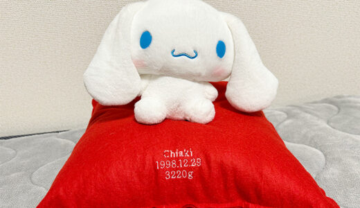 シナモンのウェイトドール