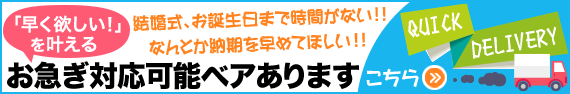 お急ぎ対応可能ベアあります